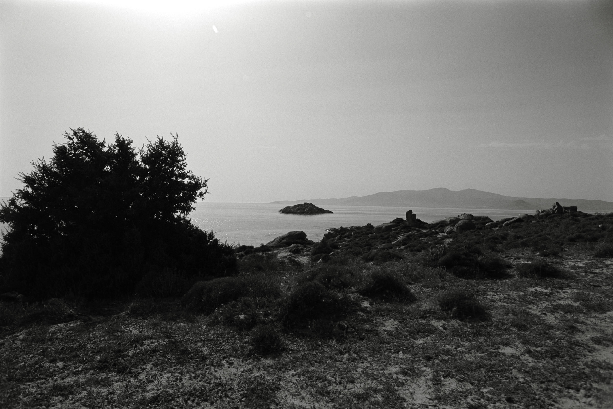 AHP F1991 09 004 sc240914 img29 NLP